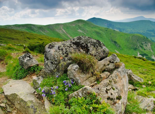 Carpathian montains view — Stock Photo, Image