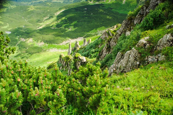 Güzel dağ manzarası — Stok fotoğraf