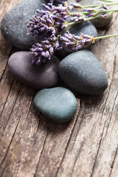 Steine mit Lavendel — Stockfoto