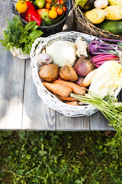 Crop of vegetables — Stock Photo, Image