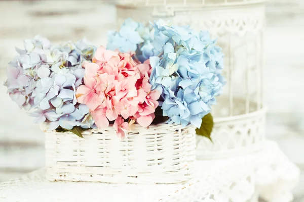 Hydrangea květiny — Stock fotografie