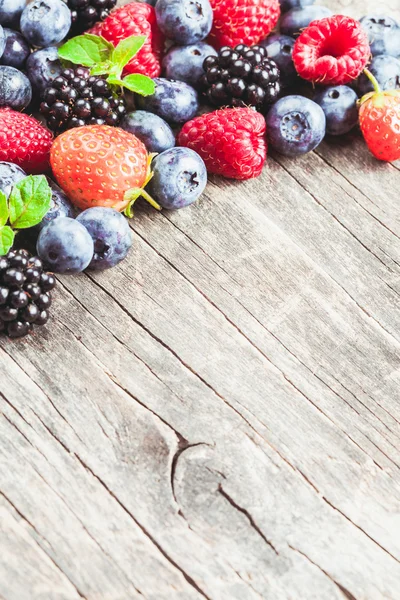 Berries close up — Stock Photo, Image