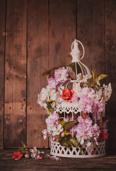 Gaiola de pássaro com coração de madeira — Fotografia de Stock