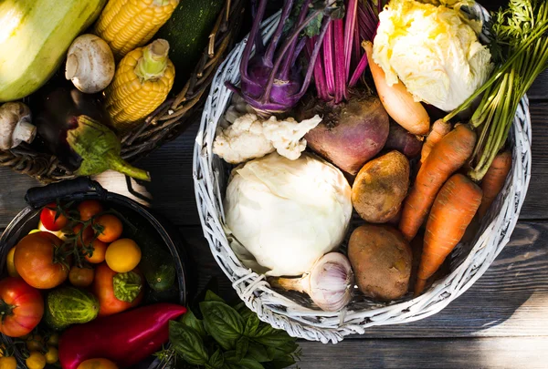 Cultivo de hortalizas — Foto de Stock