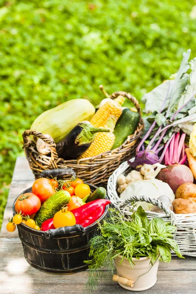 Grönsaker på träbord — Stockfoto