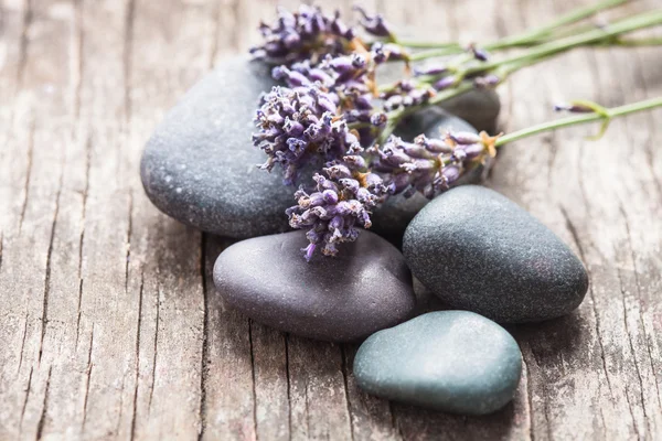 Stenen met lavendel — Stockfoto