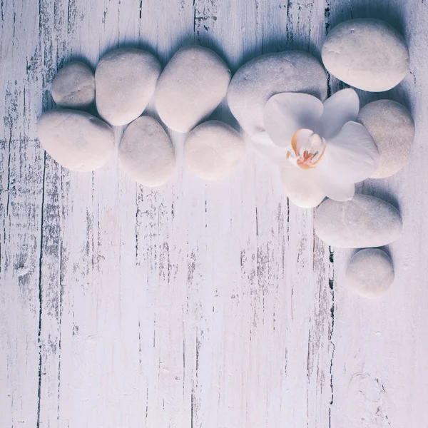 Conceito de spa de orquídea — Fotografia de Stock