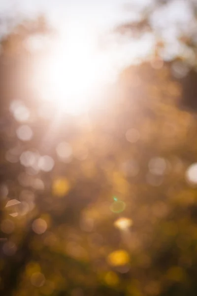 Natuur bokeh vervagen — Stockfoto