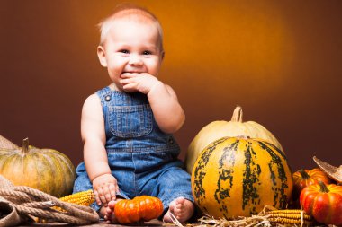 Şükran günü kartpostal