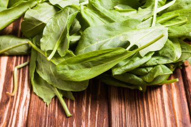 kuzukulağı bir kase