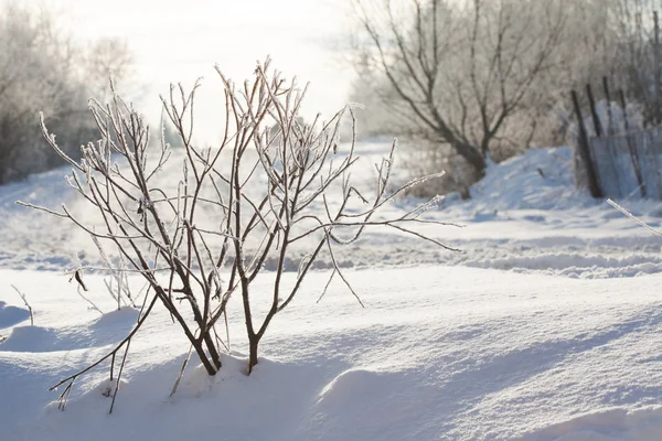 Prachtig winterlandschap — Stockfoto