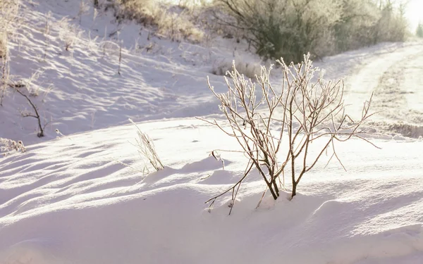 Wonderful winter landscape — Stock Photo, Image