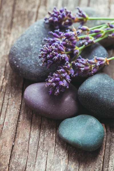 Stenen met lavendel — Stockfoto