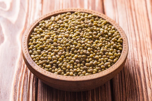 Zelené fazole Mungo — Stock fotografie