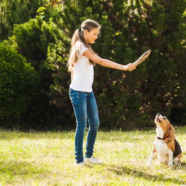 Girl plays with a dog in the yard — Stock Photo, Image