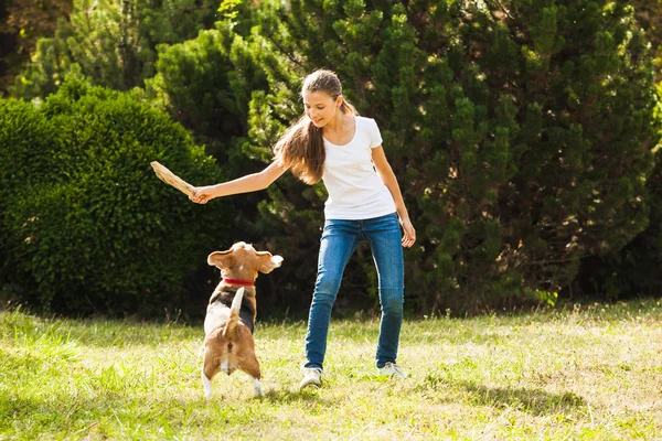 Flicka leker med en hund på gården — Stockfoto