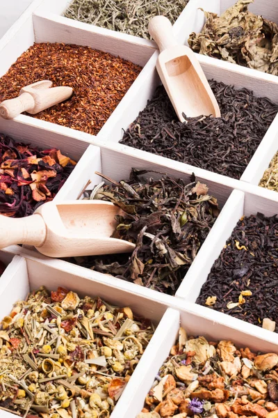 Разнообразный чай в коробке — стоковое фото