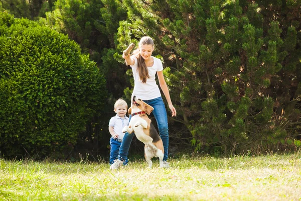 Girl plays with a dog in the yard — Stock Photo, Image