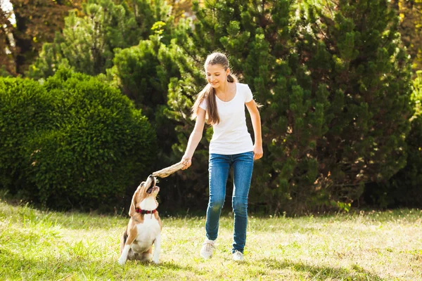 Flicka leker med en hund på gården — Stockfoto