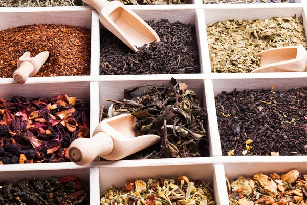 Разнообразный чай в коробке — стоковое фото
