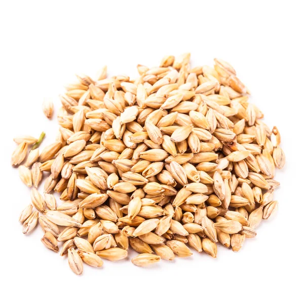 Wheat grain isolated — Stock Photo, Image