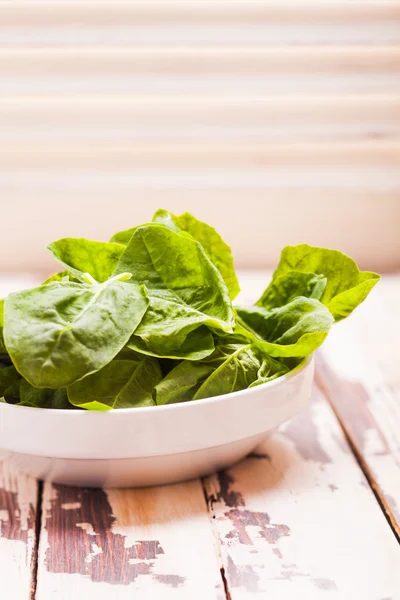 The spinach leaves — Stock Photo, Image