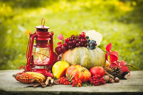 Accogliente natura morta autunno — Foto Stock