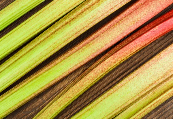 The rhubarb close up — Stock Photo, Image