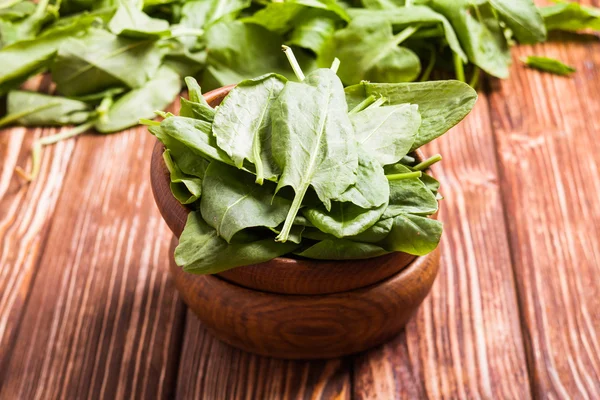 Sorrel in a bowl — Stock Photo, Image