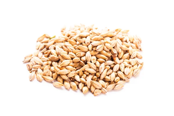 Wheat grain isolated — Stock Photo, Image