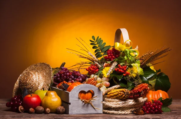 Feliz Día de Acción de Gracias —  Fotos de Stock
