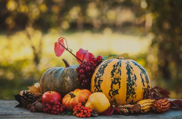 Felice Giorno del Ringraziamento — Foto Stock