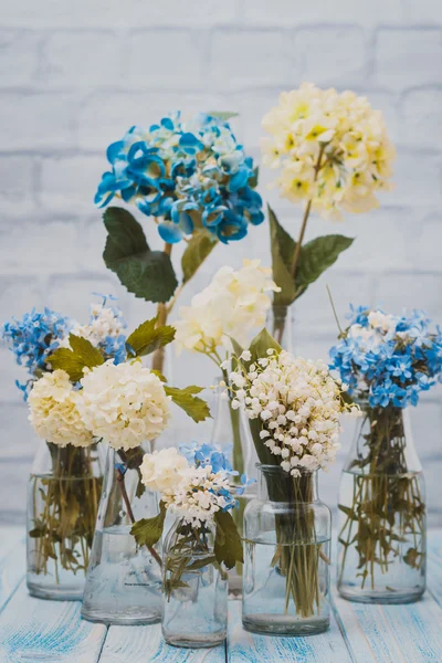 Blumen in Flaschen — Stockfoto