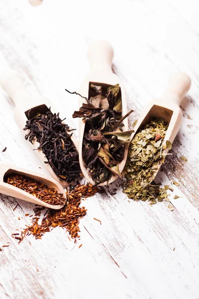 Varios de té — Foto de Stock