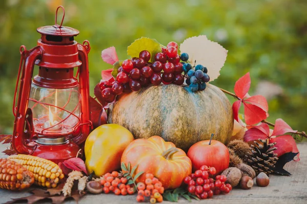 Accogliente natura morta autunno — Foto Stock