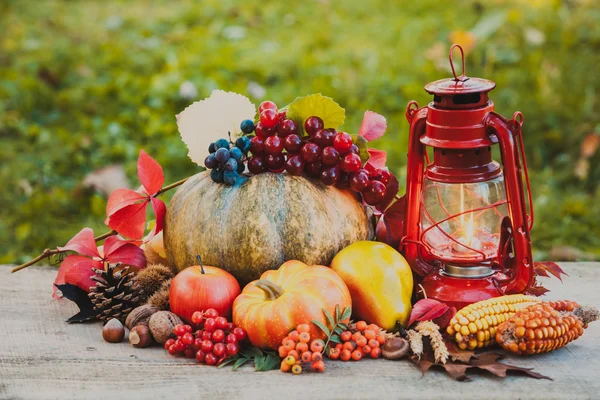 Cozy autumn still life — Stock Photo, Image