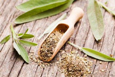 Kuru adaçayı bitki