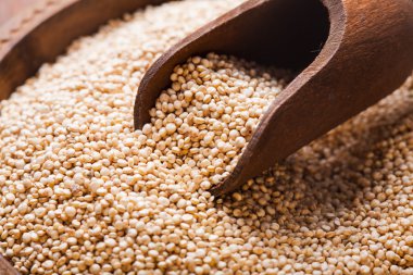 quinoa tahıl yığını