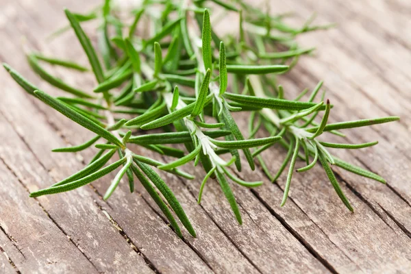 De takjes rozemarijn — Stockfoto