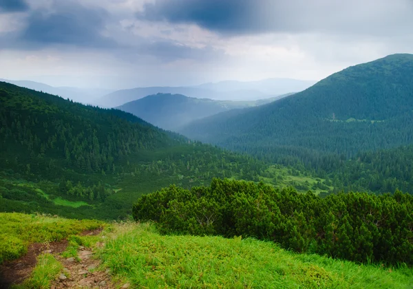 Стежка на горах — стокове фото