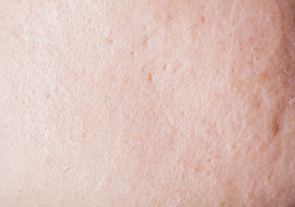 human skin texture stock photo 169 oksixx 122414784 human skin texture stock photo 169 oksixx 122414784 human skin texture stock photo 169 oksixx 122414784 human skin texture stock photo 169 oksixx 122414784