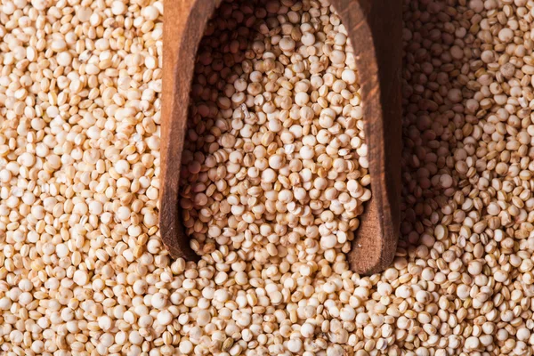 Pile of quinoa grain — Stock Photo, Image