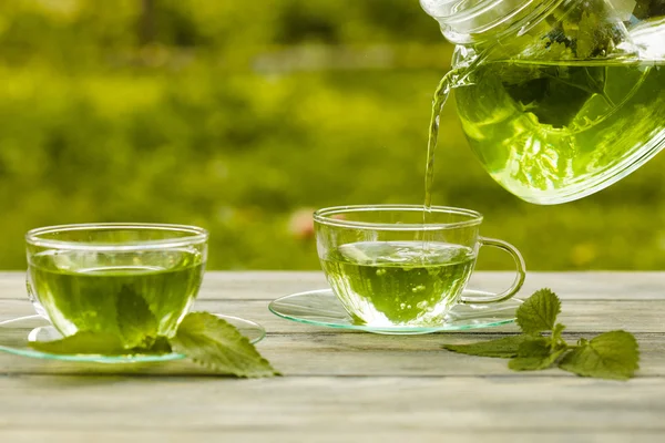 The melissa tea — Stock Photo, Image