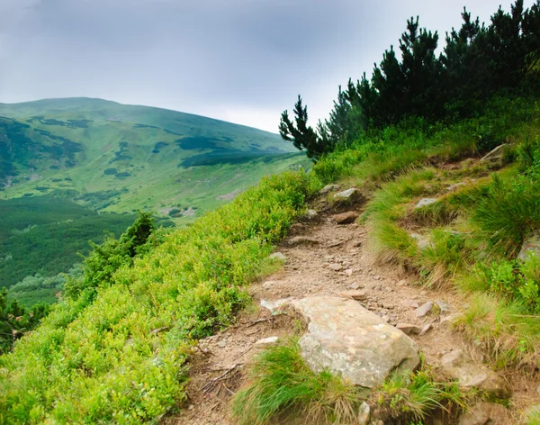 Pfad auf den Bergen — Stockfoto