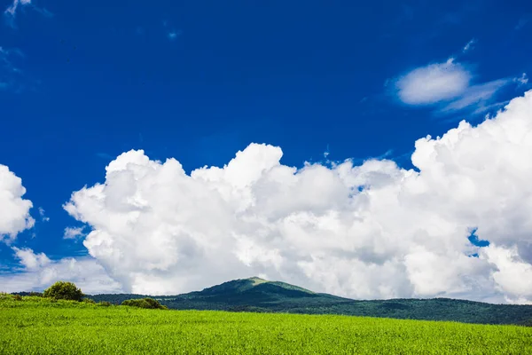 Campo verde brilhante cênico com pico de montanha no fundo — Fotografia de Stock