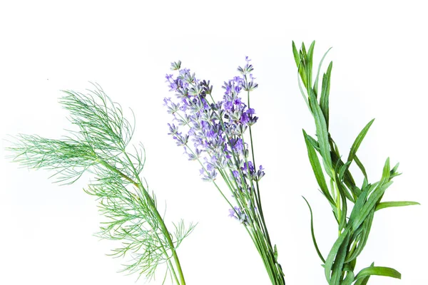 Drie soorten aromatische kruiden die eruit zien als luchtbloemen — Stockfoto