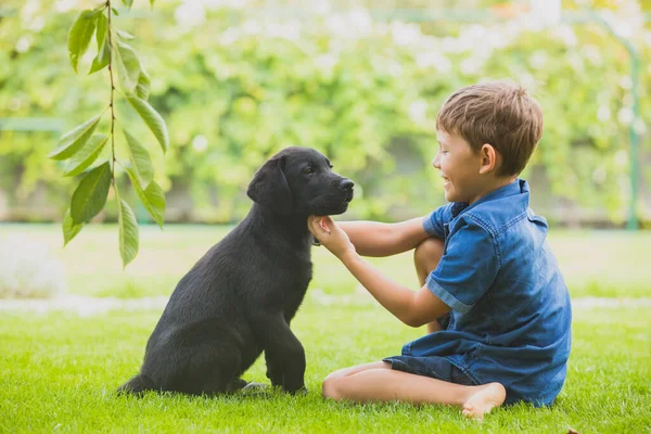 Dare il tuo amore agli animali domestici accarezzandoli — Foto Stock