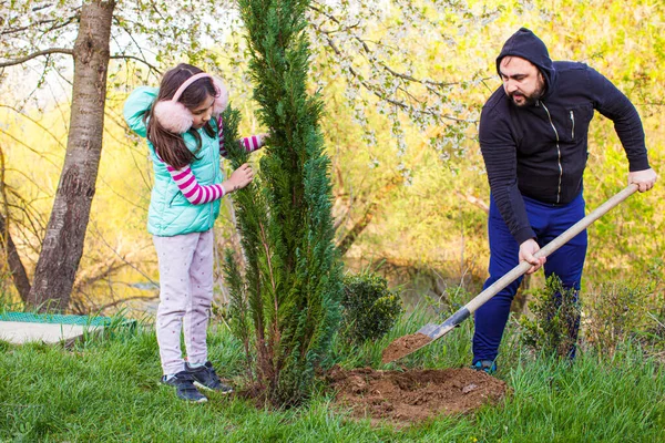 Piantagione albero primaverile che unisce genitori e figli — Foto Stock