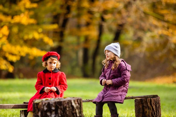 Девочки разговаривают во время отдыха в осеннем парке — стоковое фото