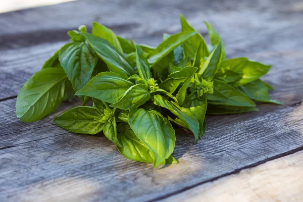 Freshly cut basil leaves on the wooden table — Stock Photo, Image